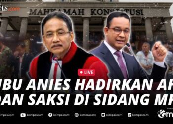 KETERANGAN AHLI DAN SAKSI KUBU AMIN PADA SIDANG SENGKETA PILPRES 2024 DI MK