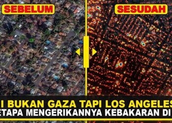 CITRA SATELIT TUNJUKKAN SEBELUM DAN SESUDAH KEBAKARAN DI HUTAN LA