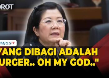 DOKTER DAN AHLI GIZI KRITIK KERAS MBG DI SIDANG KOMISI IX DPR RI